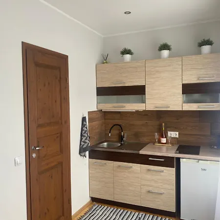 Vaeike-joe Apartment Parnu